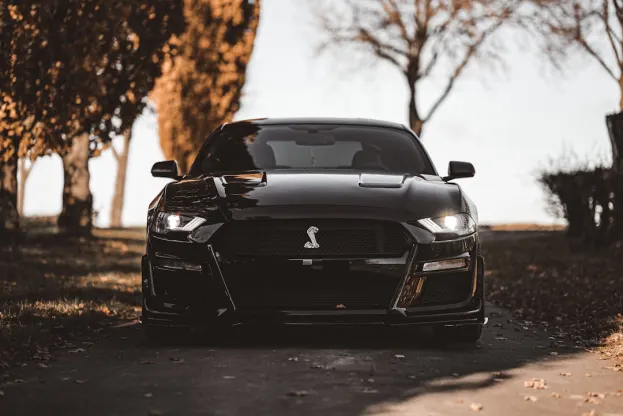 Ripper Casino Android/iOS App